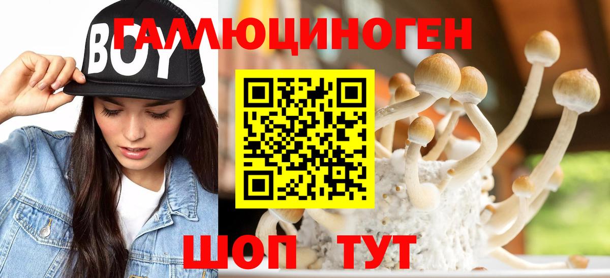 Галлюциногенные грибы MAGIC MUSHROOMS  Вход с VPN  Димитровград 