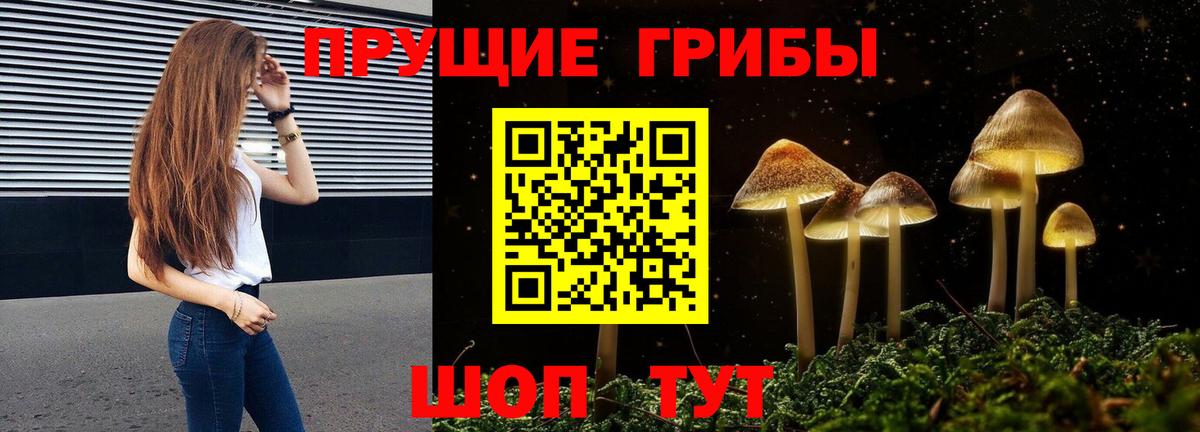 Псилоцибиновые грибы мицелий Димитровград